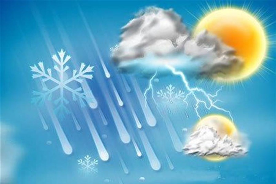 Wp Header Logo 46.png