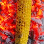 ذرت چه خواص و ویتامین هایی دارد؟