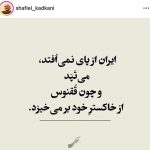 شفیعی کدکنی: ایران از پای نمی‌افتد