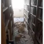 نگاهی به کتابخانه وزارت خارجه پس از حمله صیهونیست‌ها