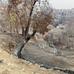 اتمام ایمن‌سازی رود دره دارآباد تا پایان تیر