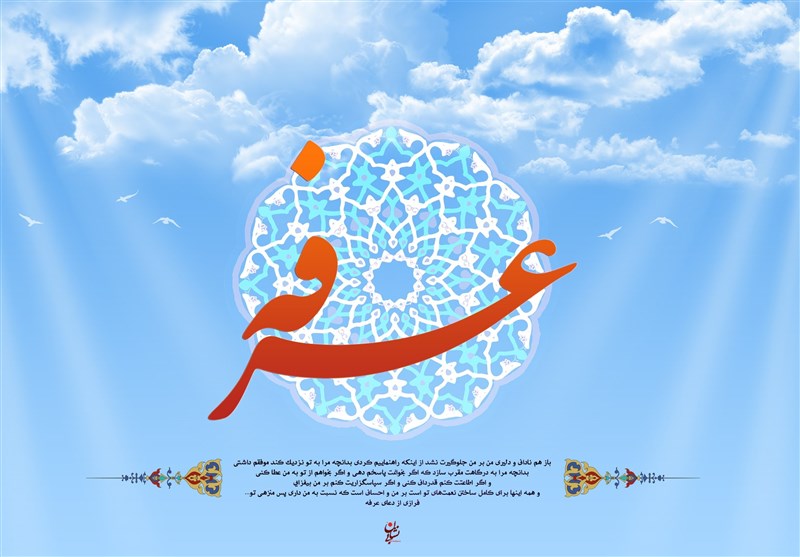 Wp Header Logo 705.png