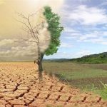 راهی به‌سوی رهایی از گمراهی