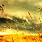 دو نگرش به آخرالزمان: پیشگامی در ظهور یا صبر استراتژیک؟