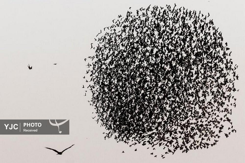 Wp Header Logo 801.png