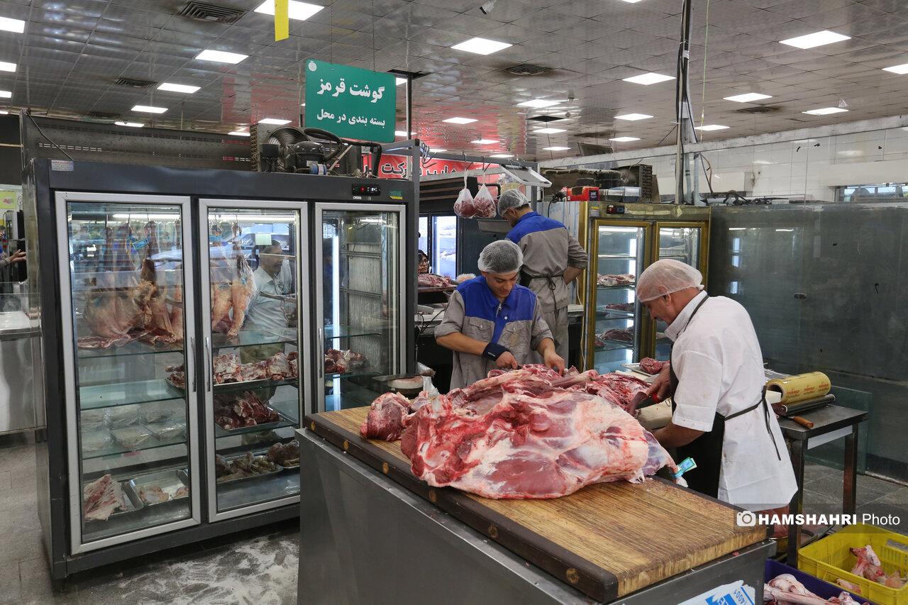 Wp Header Logo 1600.png