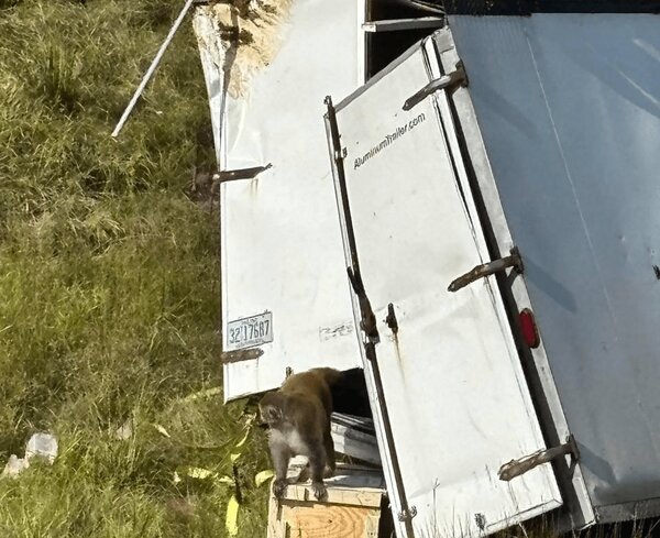 Wp Header Logo 1685.png