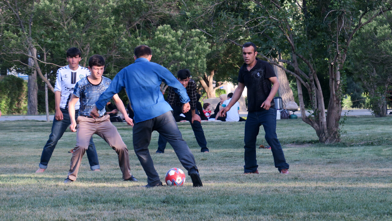 Wp Header Logo 1766.png