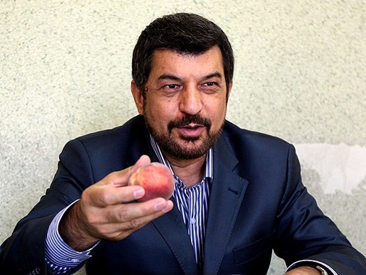 Wp Header Logo 11.png